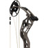 Bear Alaskan Xt Bow Stone