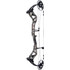 Bear Surpass Bow Dna/black