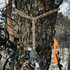 Tethrd Tree Tether Lineman Rope