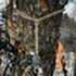 Tethrd Tree Tether Lineman Rope