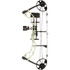 Diamond Radian Bow Package