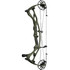 Hoyt Rx9 30 Wilderness 70lb 29in Rh