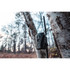 Wildgame Terra Xt 2.0​ Cellular Camera
