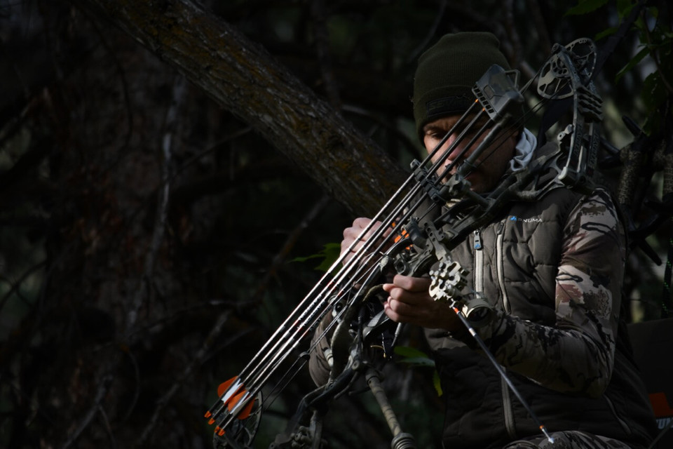 Archery Equipment, Hunting Supplies, Gear Bowhunters Superstore