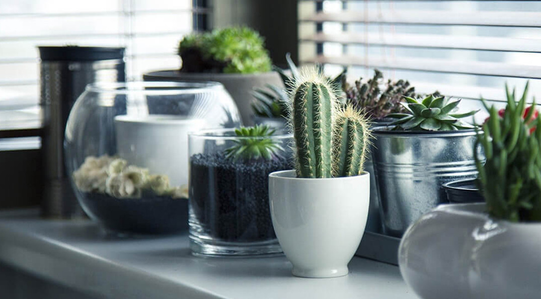 urna lectus eleifend risus