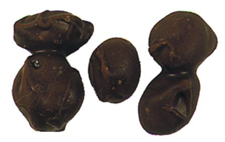 Dark Chocolate Raisins