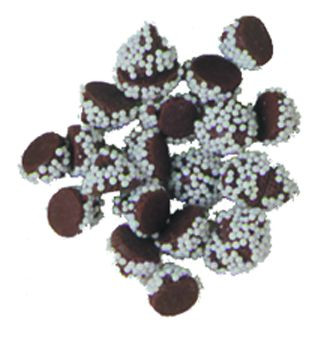 Bittersweet Snowcaps