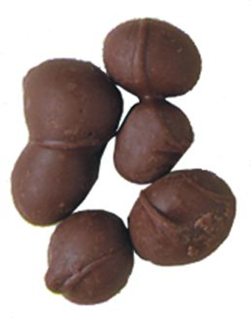 Double Dipped Chocolate Peanuts