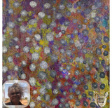 216 - Atwakeye (Bush Orange)