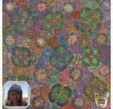 232 - Awelye for Sugarbag (Native Honey)