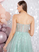 Tiffanys Nerina embossed tulle ballgown with boned bodice.