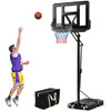Outdoor portable basketball hoop with weather-resistant materials, standing in backyard during sunset, ready for year-round use.