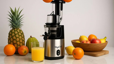 Why a Stainless Steel Slow Juicer Belongs in Every Modern Kitchen