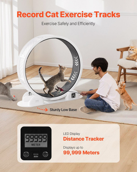 Close-up view of cat exercise wheel showing safety brake feature and non-slip carpeted surface for quiet indoor use Close-up view of cat exercise wheel showing safety brake feature and non-slip carpeted surface for quiet indoor use