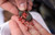 Preston Innovations ICM Maggot Feeders