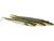 Westin Magic Minnow Weedless Jig 18g 10.5cm