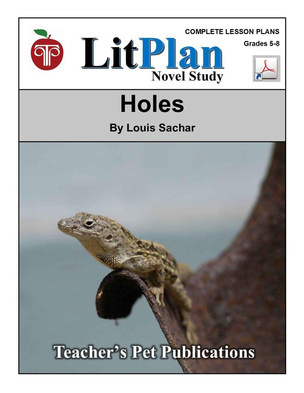 Holes Unit Plan - Louis Sachar Novel Study Reading Unit - Digital Version