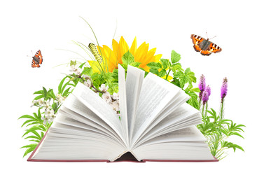 How to Create an Effective Summer Reading Packet for Grades 5-12