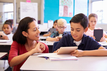 Novel Study Guides For 5th Grade 