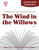 The Wind In The Willows Novel Unit Teacher Guide