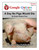 A Day No Pigs Would Die Google Forms Quizzes