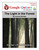 The Light in the Forest Google Forms Quizzes