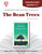 The Bean Trees Novel Unit Teacher Guide