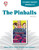 The Pinballs Novel Unit Student Packet