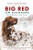 Big Red Novel Text