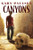 Canyons Novel Text 