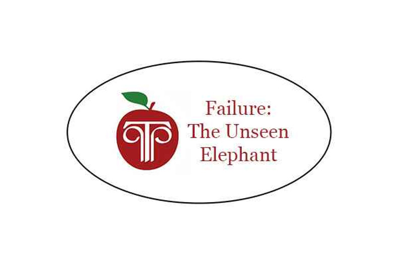 Failure: The Unseen Elephant