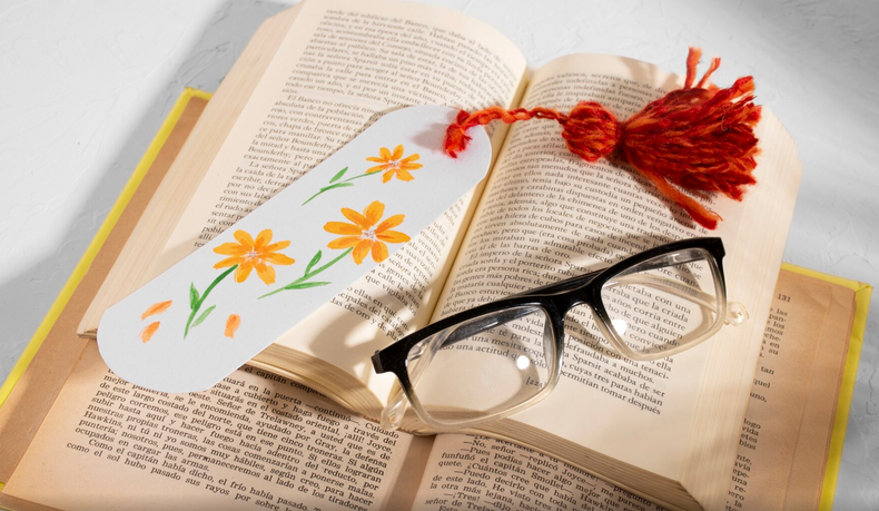 Common Core Novel Studies and Lesson Plans for ELA Teachers