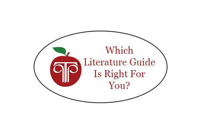 Which Literature Guide Is Right For You?