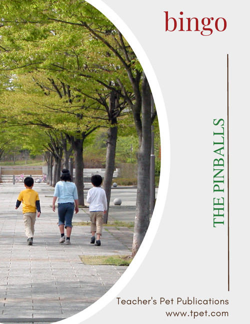 The Pinballs Novel Study Bingo Review Game