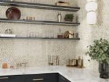 Glamour Series Scale Antique Gold Mosaic ASL-01 kitchen backsplash install