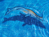 Elevate Your Pool Aesthetics: Inspiring Swimming Pool Tile Designs