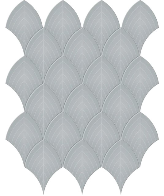 scallop_4501-0518-