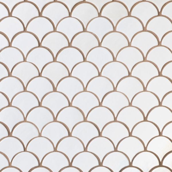 Fish Scale