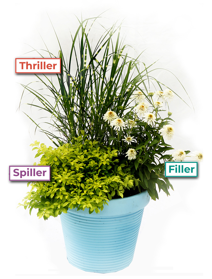 thriller-filler-spiller-001.jpg