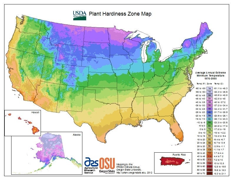 US Hardiness Zones