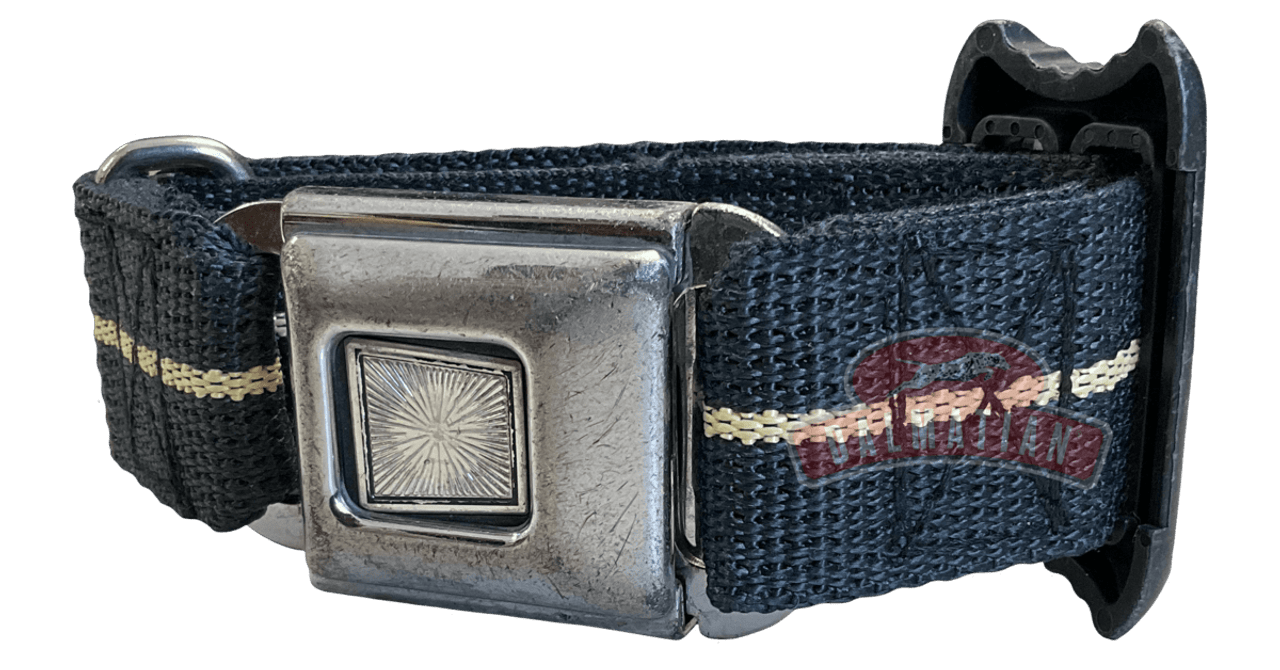 Closed Scott AP50 Expandable Waist Belt in Black Front Side View  