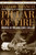 Pillar Of Fire