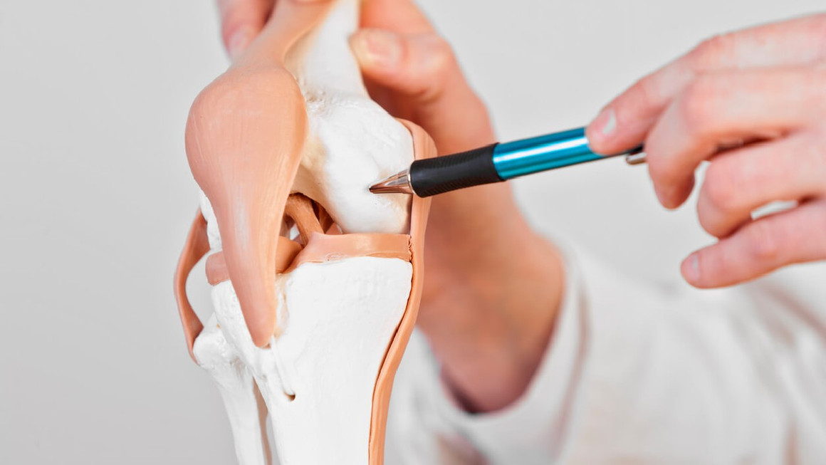 Can Chondroitin Sulfate Help Joint Discomfort In The Knee? Can Chondroitin Sulfate Help Joint Discomfort In The Knee?