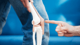 All You Need to Know About Natural Glucosamine All You Need to Know About Natural Glucosamine