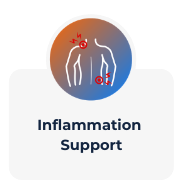 Inflammation Support - Icon