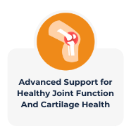 Advanced Support For Healthy Joint Function And Cartilage Health - Icon