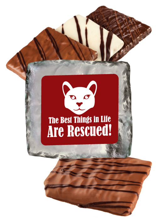 Chocolate Bar What To Do If My Cat Ate Chocolate Cat Rescue 12pc