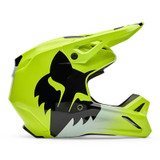 CASCO V1 SHIELD 36385 130