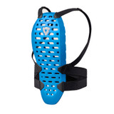 PARASCHIENA SPINA FPG065 0300