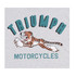 T-SHIRT SUPER SPORT TIGER SILVER